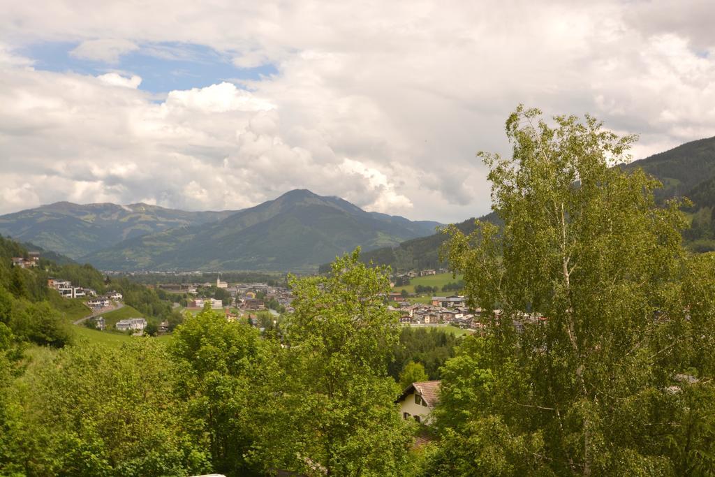 Apartment Sheps In Kaprun Luaran gambar